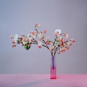Mxmtoon Releases 'PLUM BLOSSOM (REVISITED)' EP