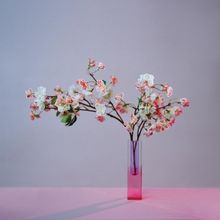 Mxmtoon Releases 'PLUM BLOSSOM (REVISITED)' EP
