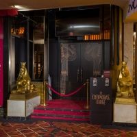 BWW Feature: LAS VEGAS ARTISTS CAPTIVATES LAS VEGAS SHUTDOWN 2020 IN NEW BOOK