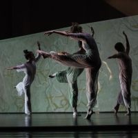 BAM to Present New York City Premiere of Pam Tanowitz's FOUR QUARTERS Interview