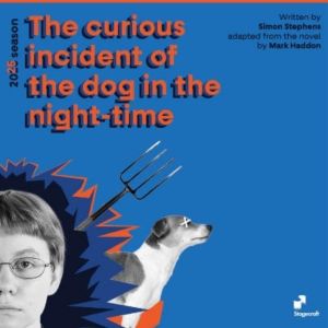 Review: THE CURIOUS INCIDENT OF THE DOG IN THE NIGHT-TIME at Stagecraft