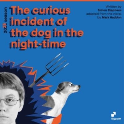 Review: THE CURIOUS INCIDENT OF THE DOG IN THE NIGHT-TIME at Stagecraft
