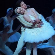 VIDEO: Stream English National Ballet's SWAN LAKE Beginning Today