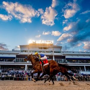 Empire of the Sun and Two Friends to Headline 2026 Pegasus World Cup
