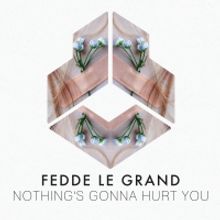 Fedde Le Grand Drops New Hit 'Nothing's Gonna Hurt You'