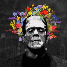 THE YEAR WE DISAPPEARED Comes to 905 Cole Theater