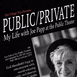 The Village Trip Presents PUBLIC/PRIVATE Featuring Gail Papp In Conversation With…