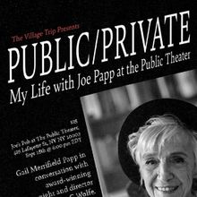 The Village Trip Presents PUBLIC/PRIVATE Featuring Gail Papp In Conversation With Geo