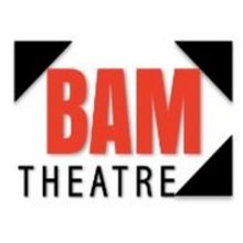 MAMMA MIA! to be Presented by BAMtheatre