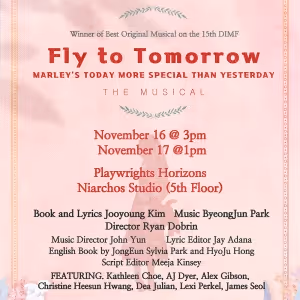 FLY TO TOMORROW Sets 29 - Hour Equity Reading For This Week at Playwrights Horizons
