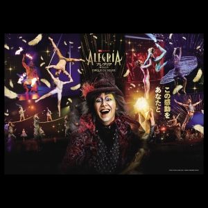 Review: ALEGRÍA BY CIRQUE DU SOLEIL at Morinomiya Big Top [Osaka]