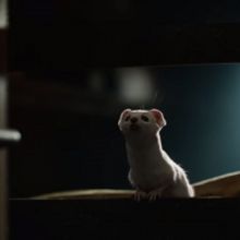 VIDEO: Watch a Clip from HIS DARK MATERIALS on HBO