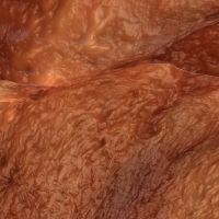 Times Square Arts Presents Sondra Perry's FLESH WALL for February Midnight Moment