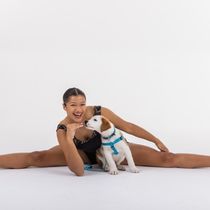 DANCERS LOVE DOGS to Return to Artscape, Emcee'd by Alan Committie