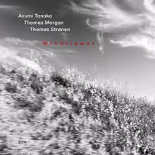 WINDFLOWER Trio Album With Ayumi Tanaka to Arrive via ECM