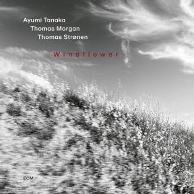 WINDFLOWER Trio Album With Ayumi Tanaka to Arrive via ECM