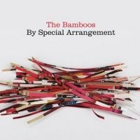The Bamboos Release New Orchestral Album, BY SPECIAL ARRANGEMENT, via BMG