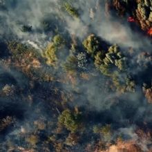 Dutch National Opera's THE SHELL TRIAL Nominated For Fedora Opera Prize