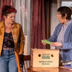 Review: THE ROOMMATE at Profile Theatre