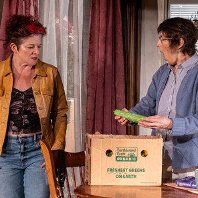 Review: THE ROOMMATE at Profile Theatre