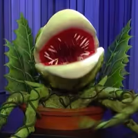 VIDEO: Maude Apatow Brings Audrey II From LITTLE SHOP OF HORRORS to FALLON Video