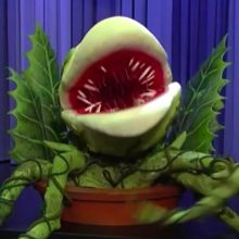 VIDEO: Maude Apatow Brings Audrey II From LITTLE SHOP OF HORRORS to FALLON