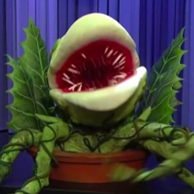 VIDEO: Maude Apatow Brings Audrey II From LITTLE SHOP OF HORRORS to FALLON