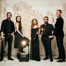 Hit The Lights! Brings Shadow Play To New York Botanical Garden