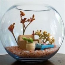 EDINBURGH 2023: Review: THE FISH BOWL, Summerhall