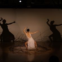 Steppenwolf Theatre Company Announces LOOKOUT Spring 2024 Season