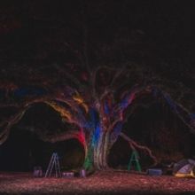 Review: INTO THE WOODS at Lichgate