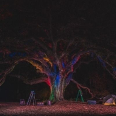 Review: INTO THE WOODS at Lichgate