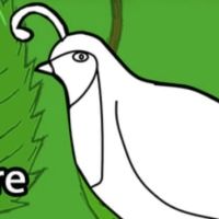 QUAIL TALES Joins The Players Theatre For Comedy Residency
