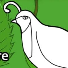 QUAIL TALES Joins The Players Theatre For Comedy Residency