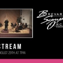 Brevard Symphony Orchestra Presents STREAMING STRINGS Orchestra Performance
