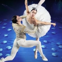 English National Ballet's SWAN LAKE is Headed to Cinemas Next Month