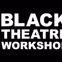 Black Theatre Workshop Announces Dian Marie Bridge as New Artistic Director