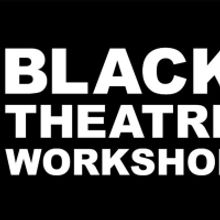Black Theatre Workshop Announces Dian Marie Bridge as New Artistic Director