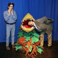 LITTLE SHOP OF HORRORS Comes To Sutter Street Theatre
