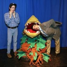 LITTLE SHOP OF HORRORS Comes To Sutter Street Theatre