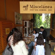 El Museo Del Palacio De Bellas Artes Realizará Mesa De Diálogo En El Marco Del Día