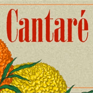 Chicago A Cappella Opens 2025–26 Season With CANTARÉ, A Celebration Of Mexican Music