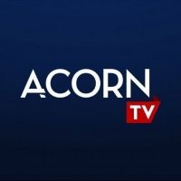 A SUITABLE BOY Will Make U.S. Premiere on Acorn TV