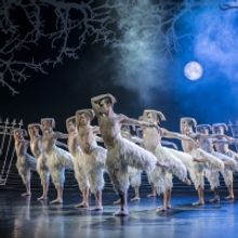 BWW Review: MATTHEW BOURNE'S SWAN LAKE at The Kennedy Center