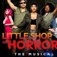 LITTLE SHOP OF HORRORS Is Coming to the Renaissance Theatre