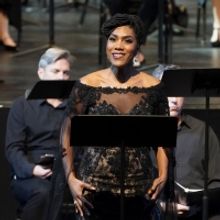 BWW Feature: ONLINE VIRTUAL OPERA TOUR at Home Computer Screens