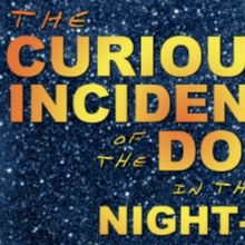 THE CURIOUS INCIDENT OF THE DOG IN THE NIGHT-TIME Begins Next Month at Chance Theater