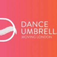 Dance Umbrella 2020 Festival Canceled