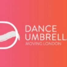 Dance Umbrella 2020 Festival Canceled