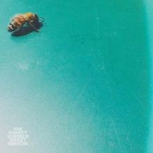 The Rocket Summer Releases New Album SWEET SHIVERS Today